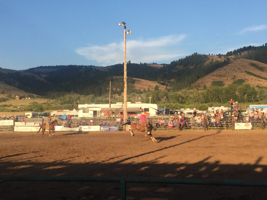 Idaho Rodeo