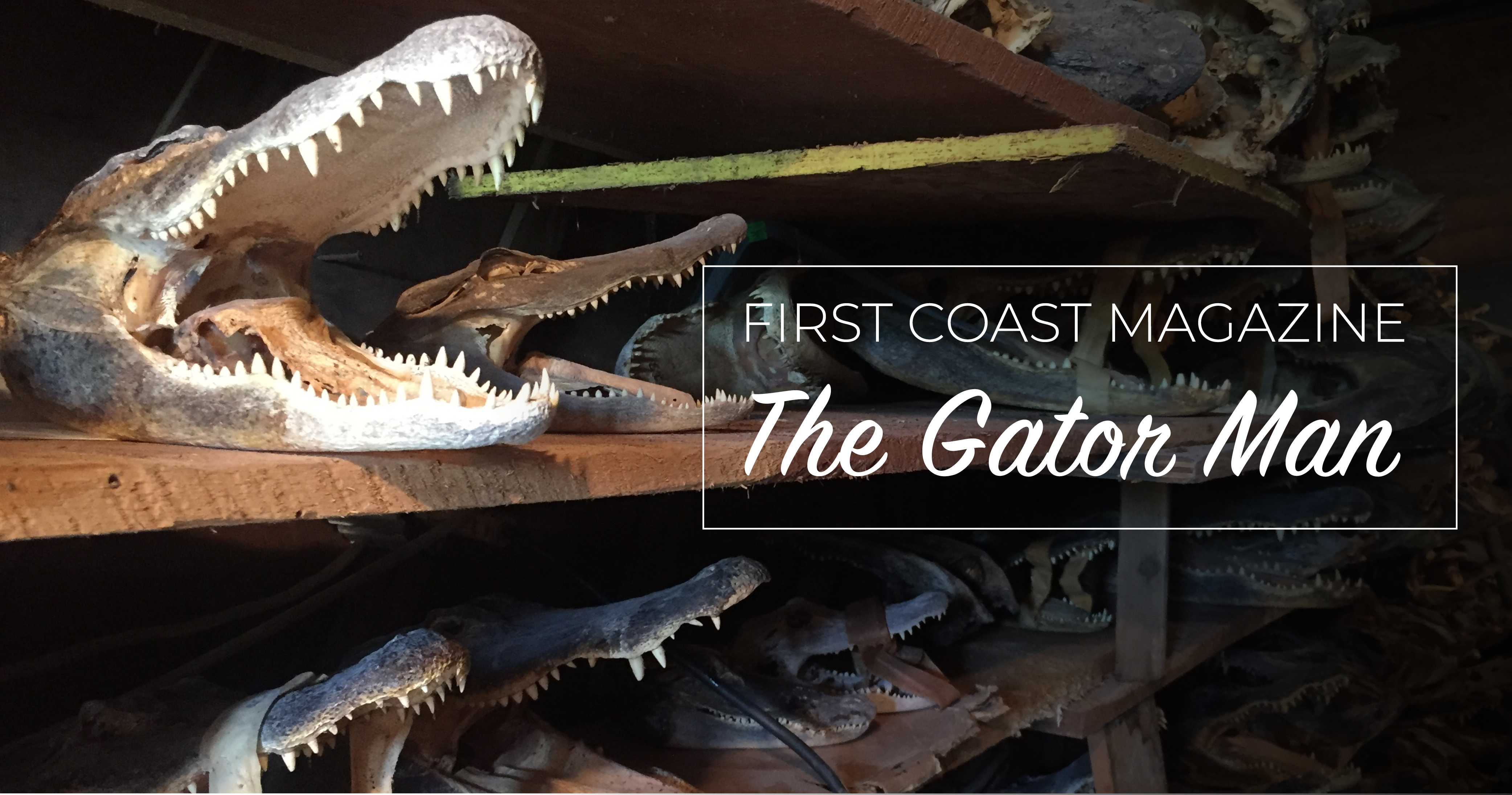 The Gator Man: A True St. Augustine Legend