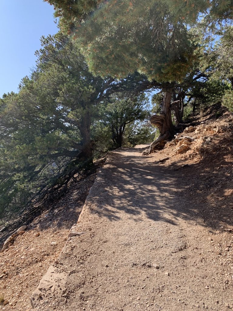 Bright Angel Point Trail