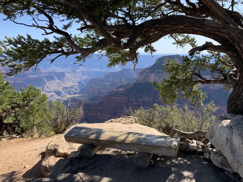 Bench near Bright Angel Point