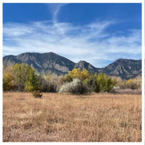 Photo of the Flat Iron mountains above a fall meadow outside Boulder, CO