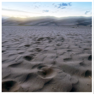 Wide expanse of sand that rises into dunes near the horizon