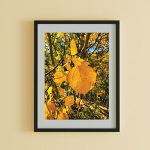 My Favorite Yellow Framed Photo Print